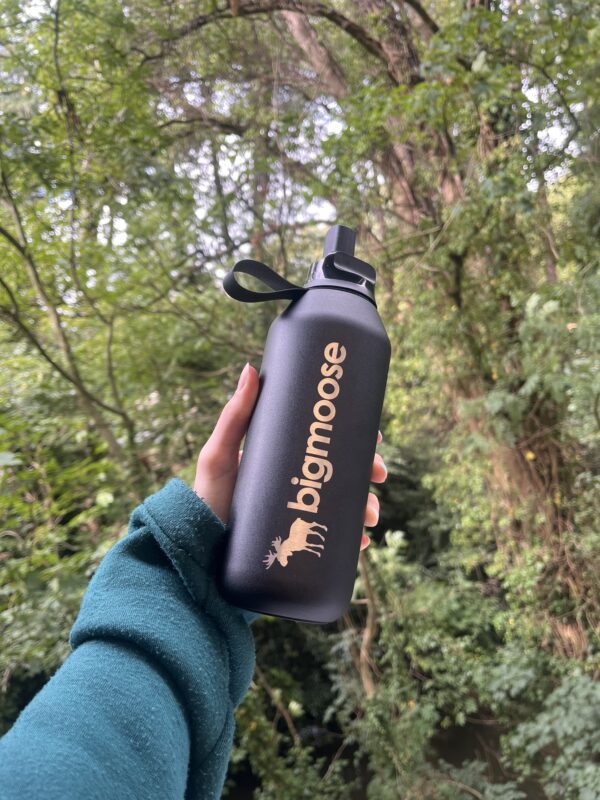 bigmoose x chilly's water bottle