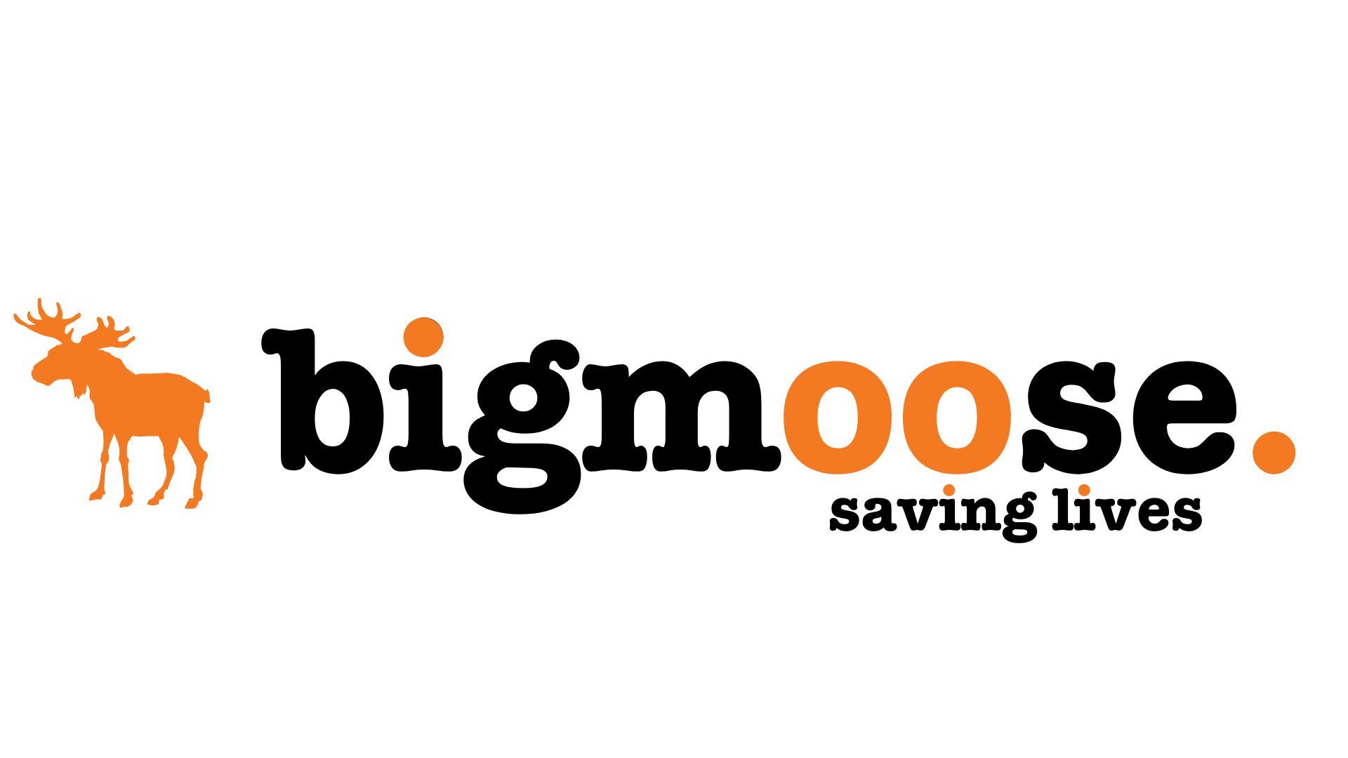 The Big Moose Inn in Big Moose, United States